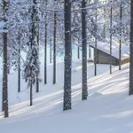 Ferienhaus Huuhkalinna By Interhome Syöte
